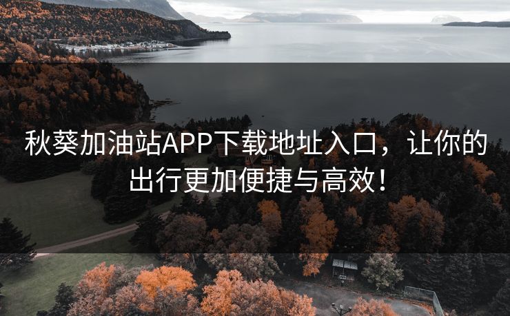 秋葵加油站APP下载地址入口，让你的出行更加便捷与高效！