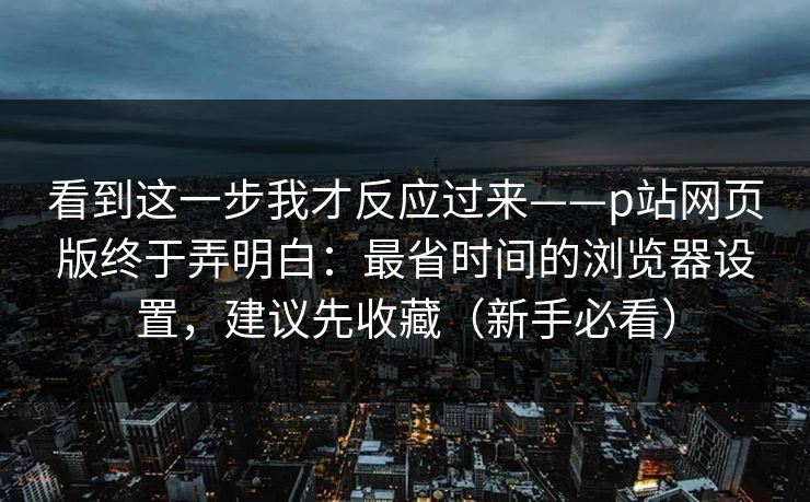 看到这一步我才反应过来——p站网页版终于弄明白：最省时间的浏览器设置，建议先收藏（新手必看）