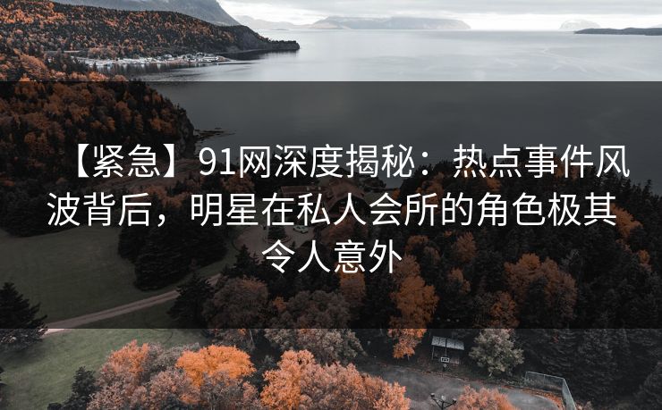 【紧急】91网深度揭秘：热点事件风波背后，明星在私人会所的角色极其令人意外